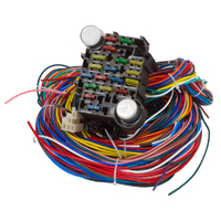 Proflow Wiring Harness, 21-Circuit, Dash Ignition, Front Fuse Block, Spade Fuse, Extra Long Harness, Universal, Kit